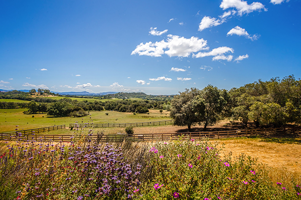 Scenic Photo of Sonoma County